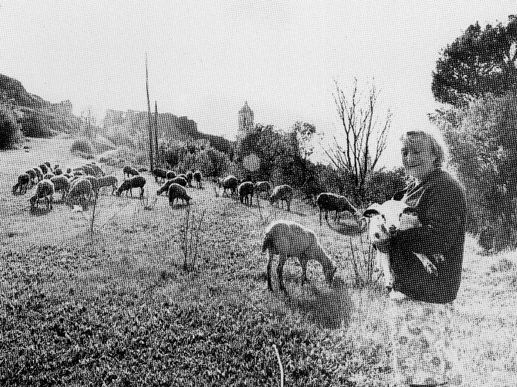 La Vall de Sant Daniel, l'any 1980