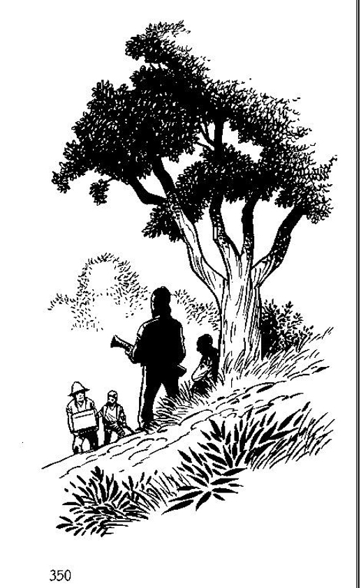 Il&middot;lustraci&oacute;