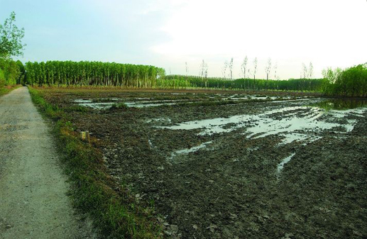 Panor&agrave;mica (Foto: Josep Segur)