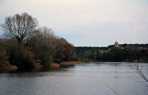 El Fluvi&agrave; (Foto: Jordi Gallego)