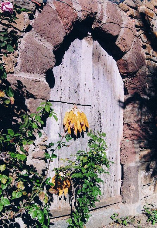 La porta de la sala del castell de Vallfogona (Foto: Miquel Par&eacute;s)