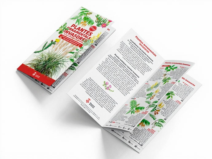 PLANTES ORNAMENTALS INVASORES DE LES COMARQUES GIRONINES