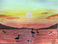 Capvespre als aiguamolls