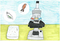 La vida en una gota d'aigua