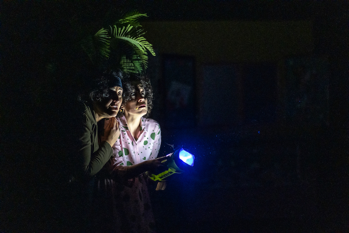 Pocacosa Teatre-Una dent sota el coixí