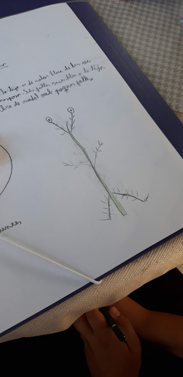 L'hivernacle-Un conte propi. Taller d’escriptura i il·lustració