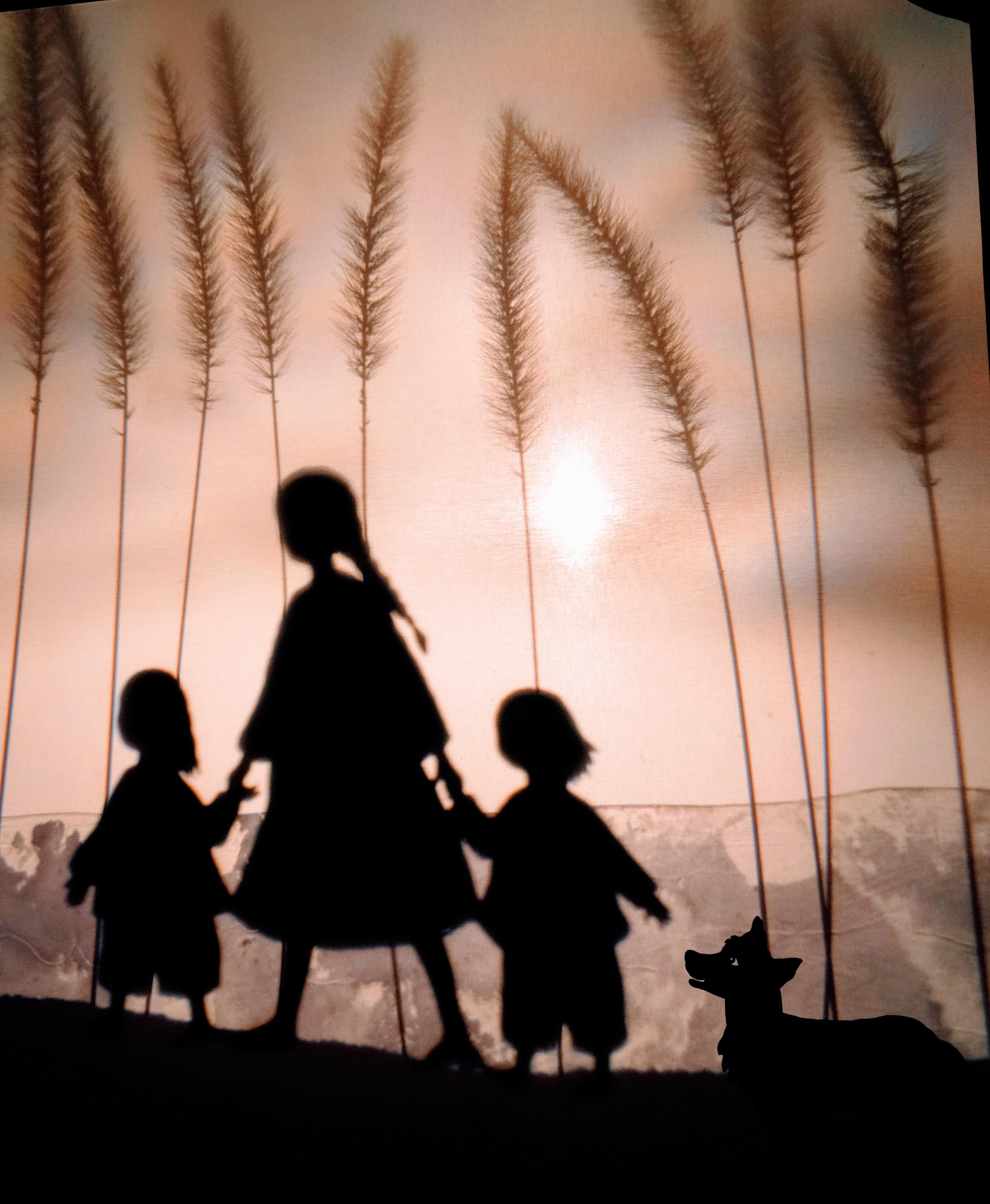 Animamundi Teatre d'Ombres-Agafa el foc i corre