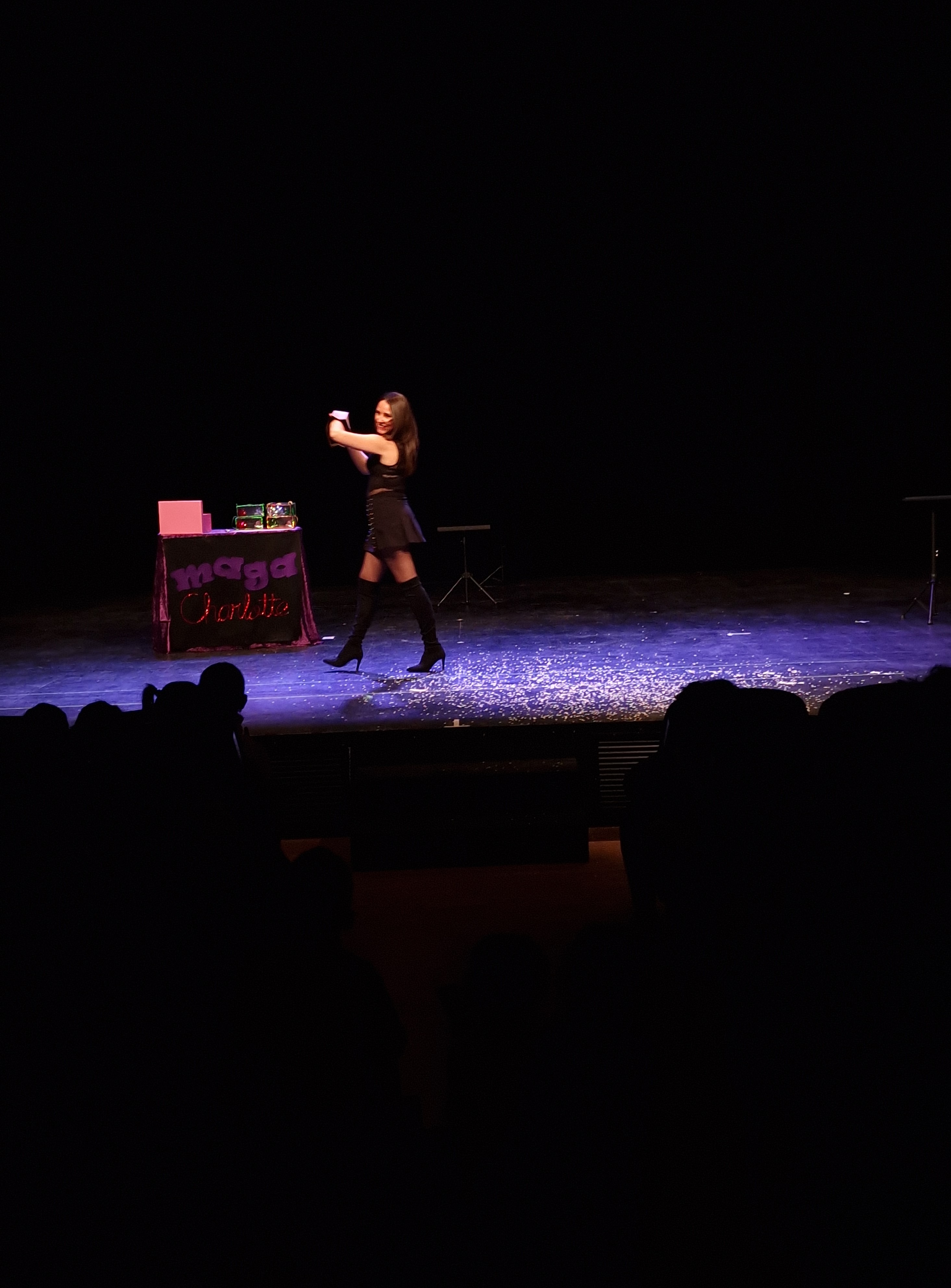 Maga Charlotte -In/visible