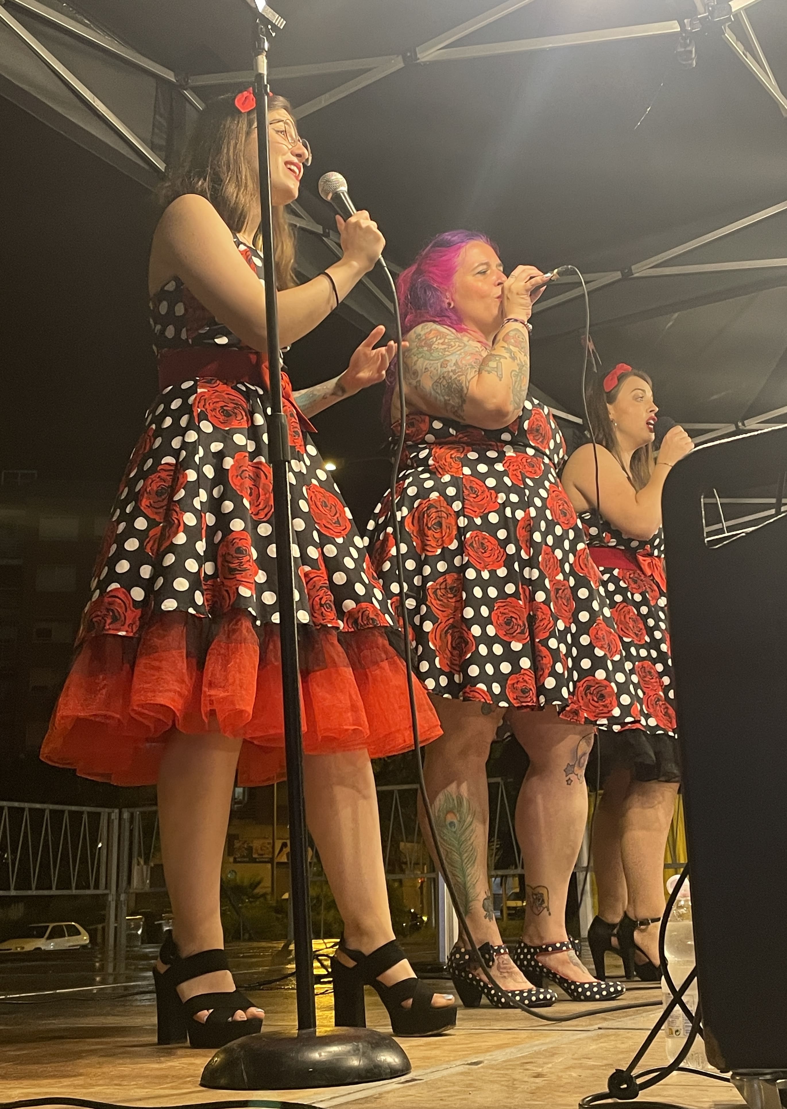 Cherry Sisters Band-Cherry Sisters Band - Now You're Singing With The Swing