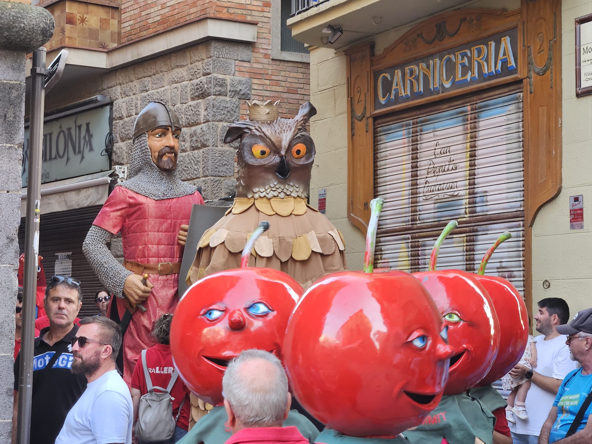 Grallers de Llers-Grallers de Llers, cercaviles amb gegants i capgrossos