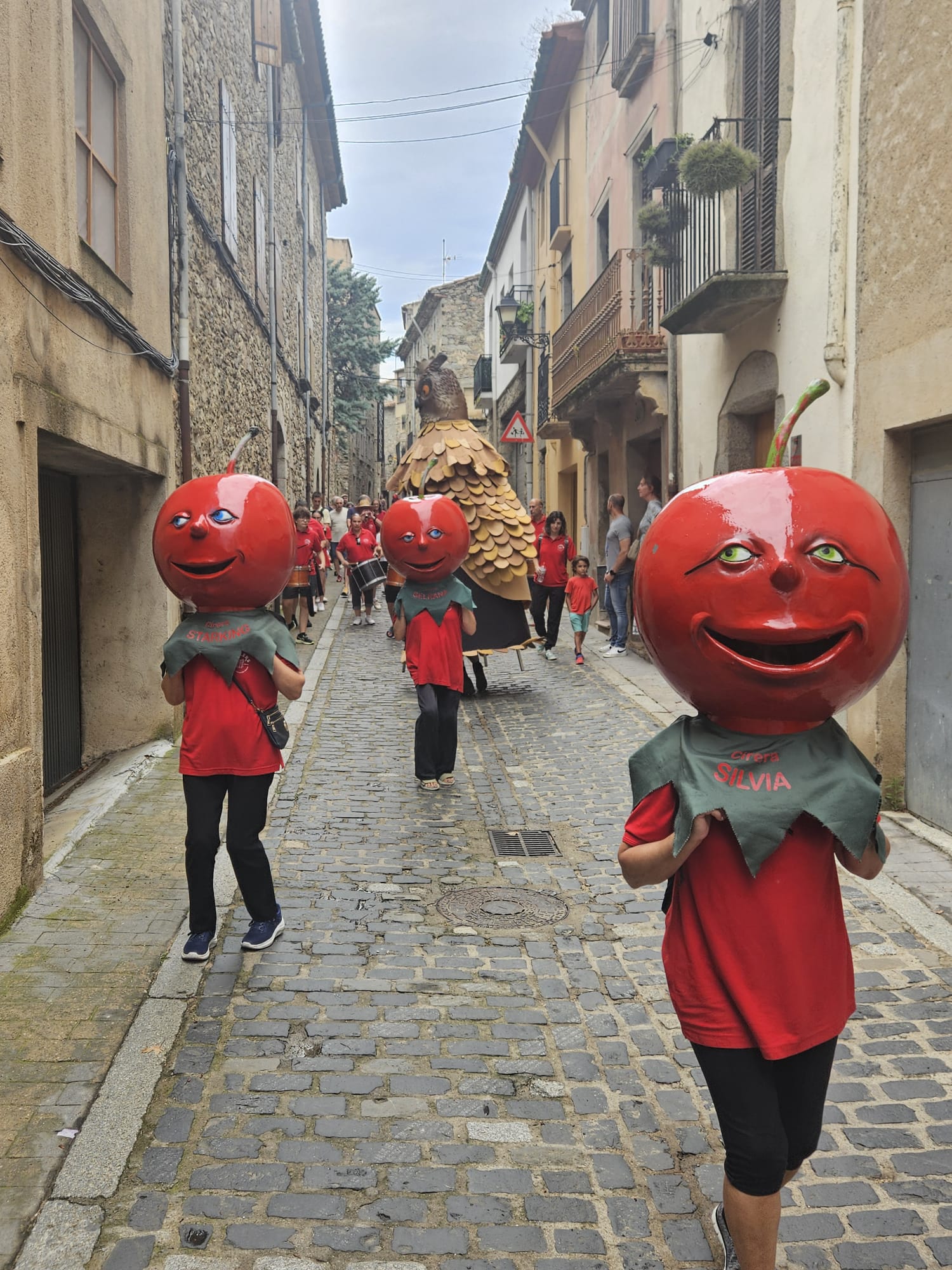 Grallers de Llers-Grallers de Llers, cercaviles amb gegants i capgrossos