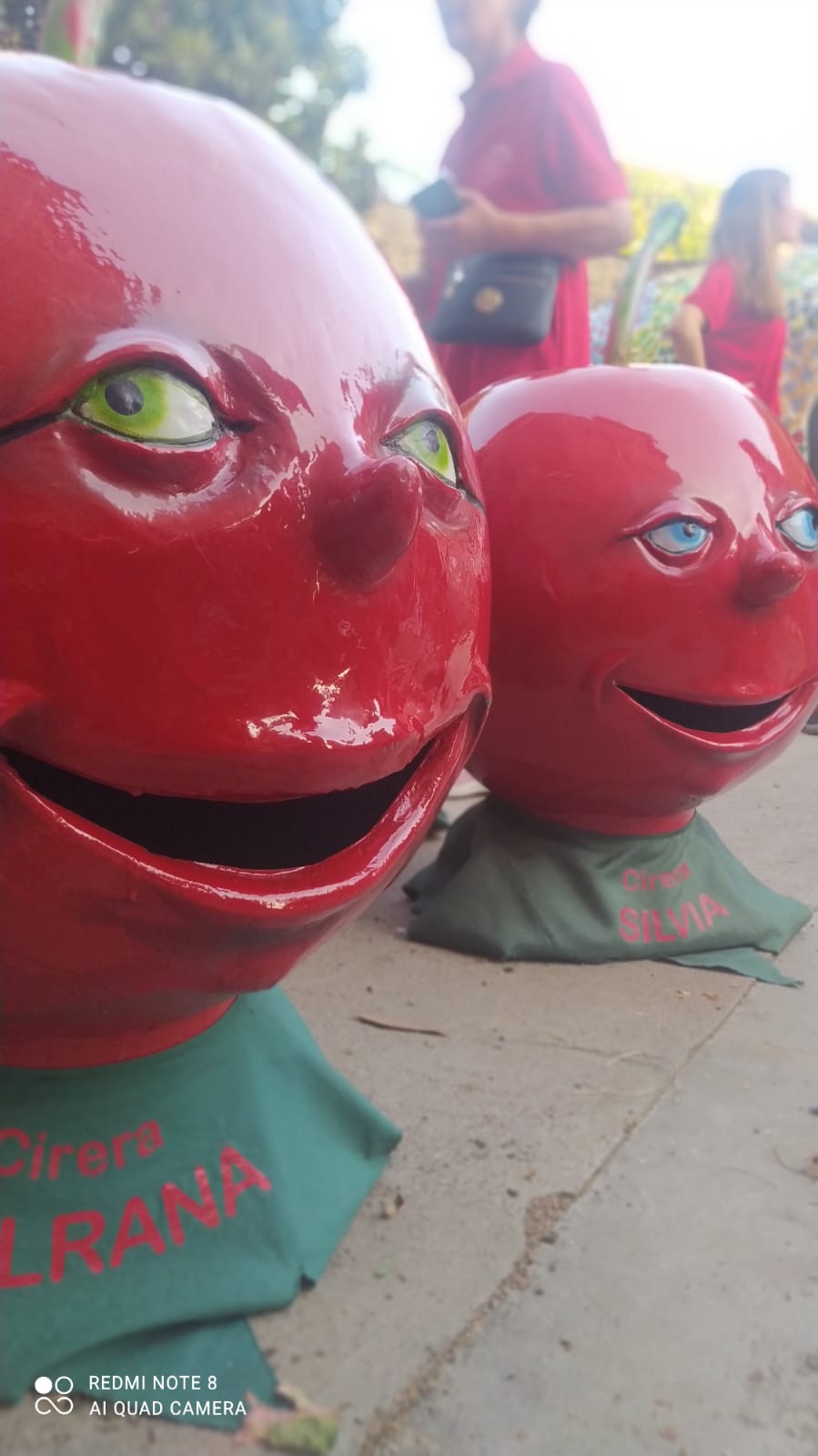 Grallers de Llers-Grallers de Llers, cercaviles amb gegants i capgrossos