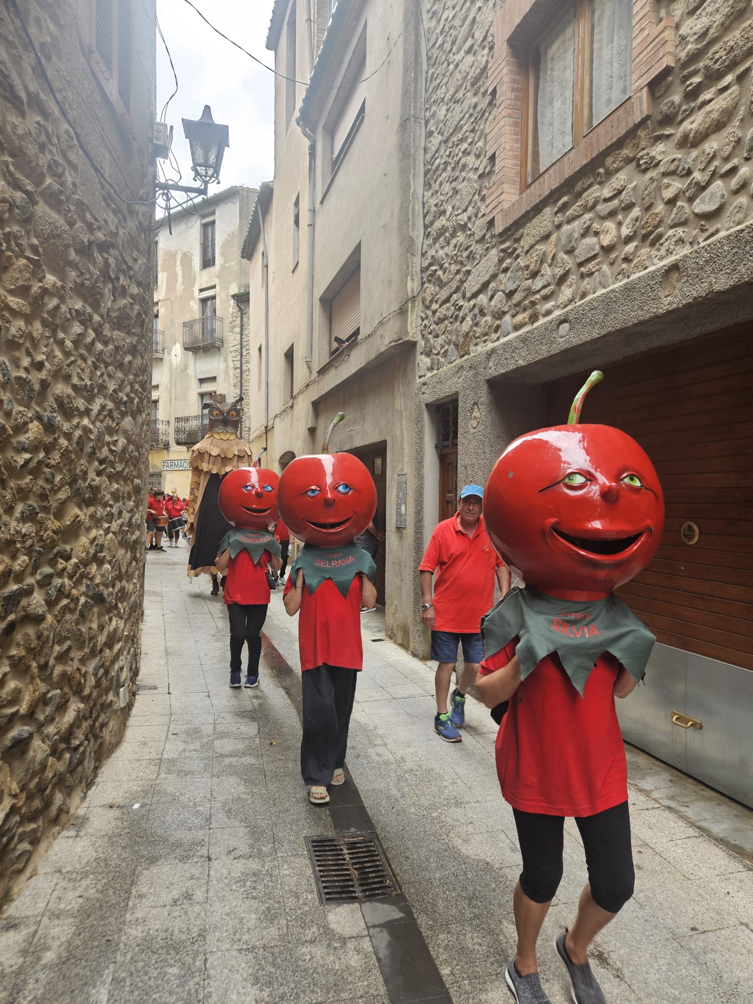 Grallers de Llers-Grallers de Llers, cercaviles amb gegants i capgrossos