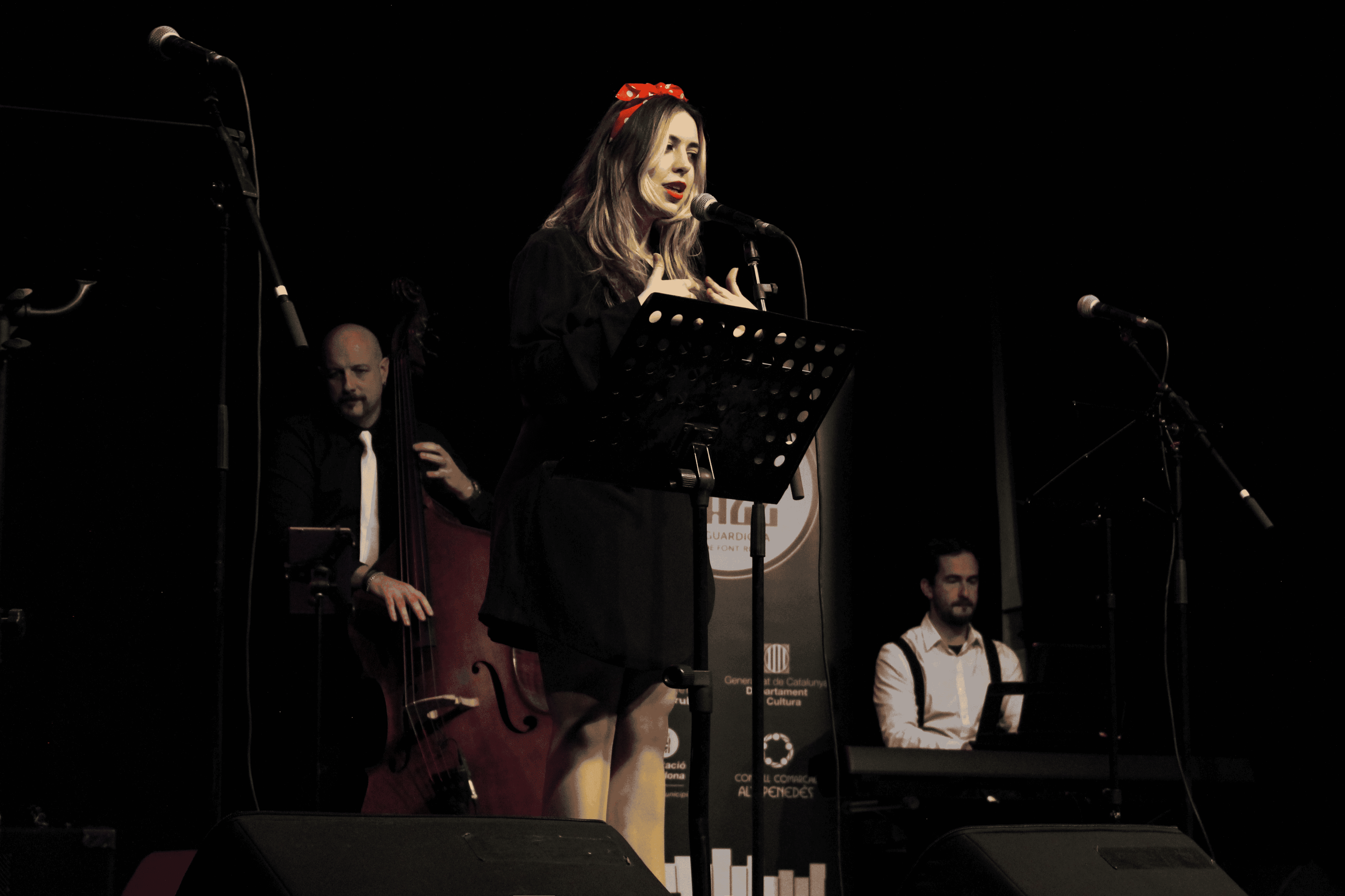 Cherry Sisters Band-Cherry Sisters - Now You're Singing With The Swing