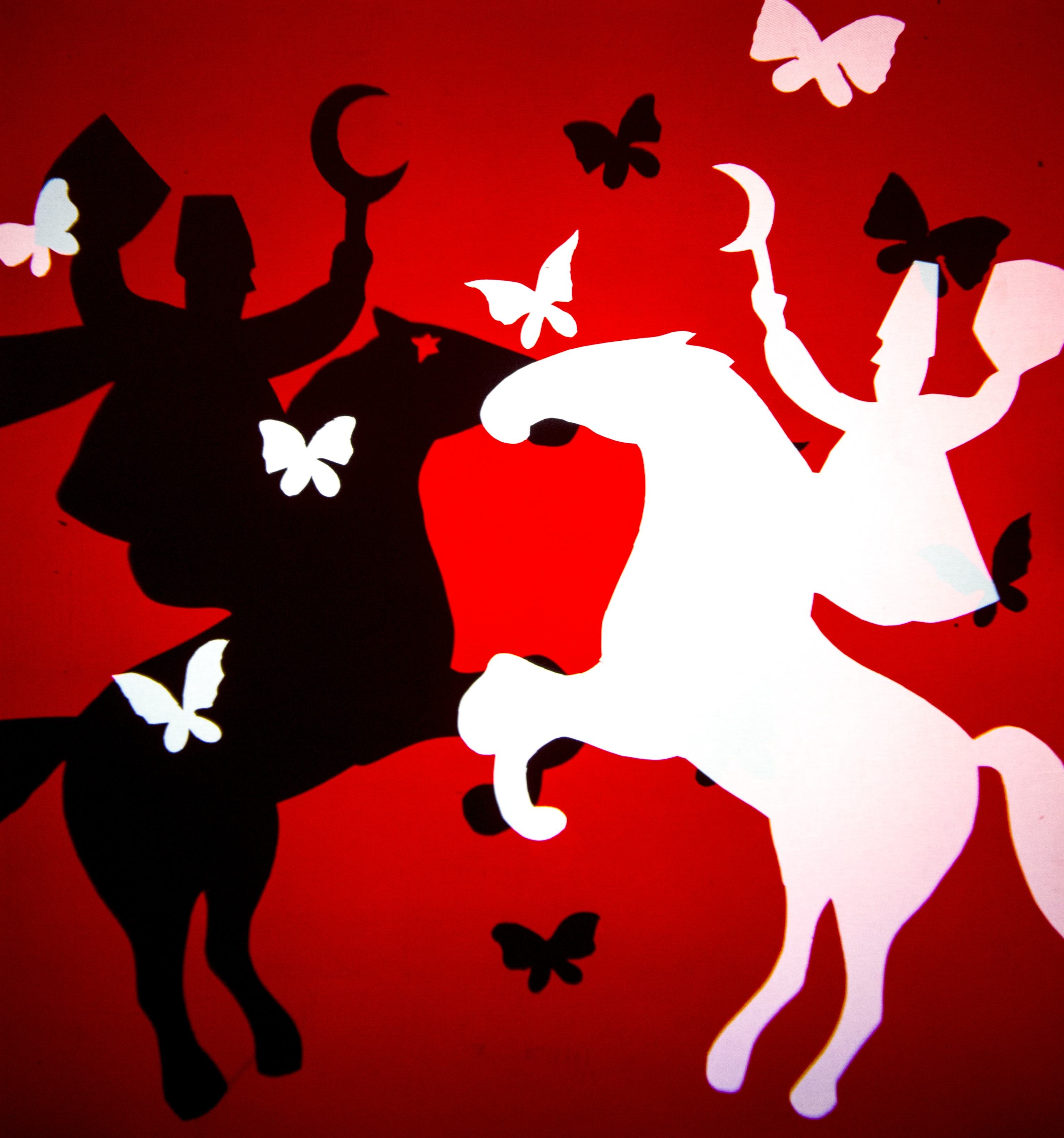 Animamundi Teatre d’Ombres-El conte de l'estrella