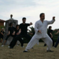 Centre Wudang. Escola Superior de Tai-chi i Qigong