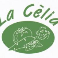 Ca la Cèlia
