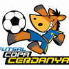 FUTSAL COPA CERDANYA 2021