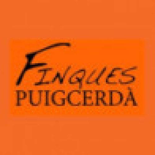 Local En venda Puigcerdà (Venda)