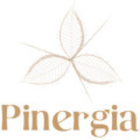 Pinergia; energia-telecomunicacions - cooperativa