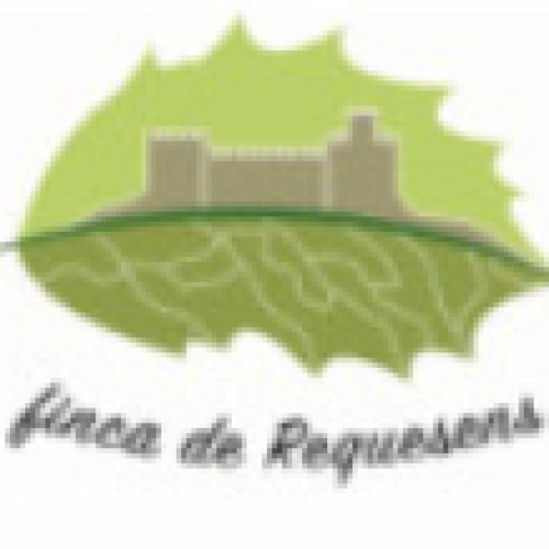 Visita guiada
