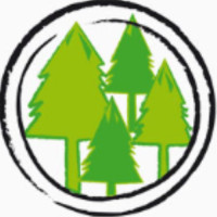 Selva aventura