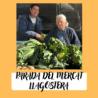 08 Fruita i Verdura