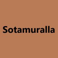 Sotamuralla