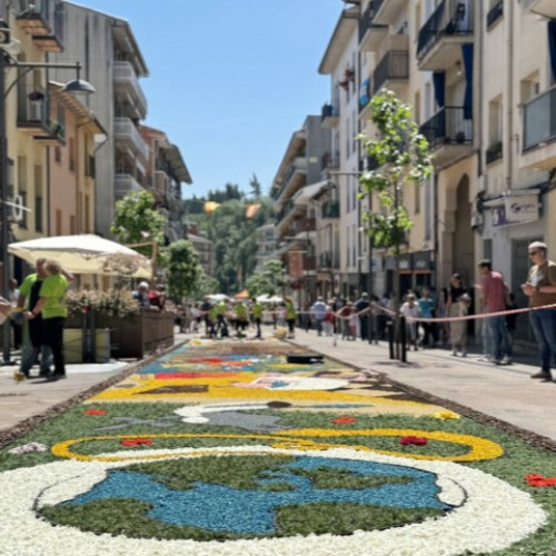 Catifes de flors