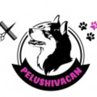 Pelushivican