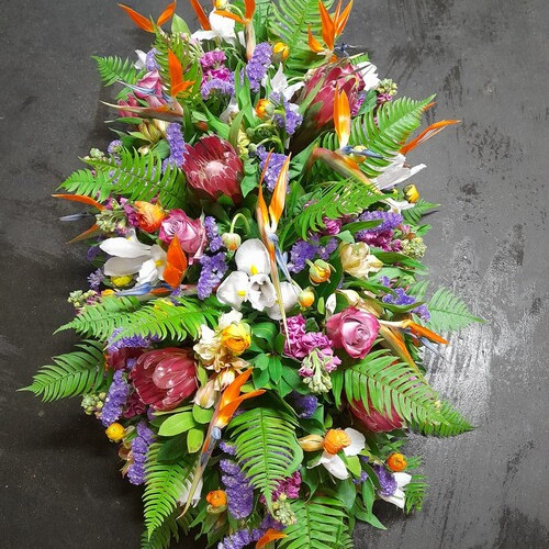 Coixí tropical