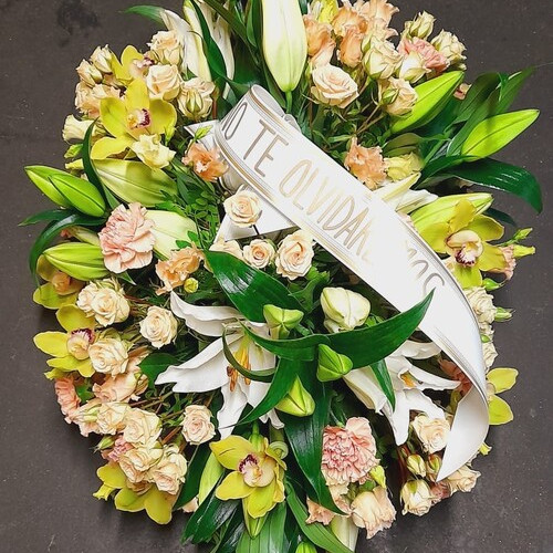 Coixí amb orquídies