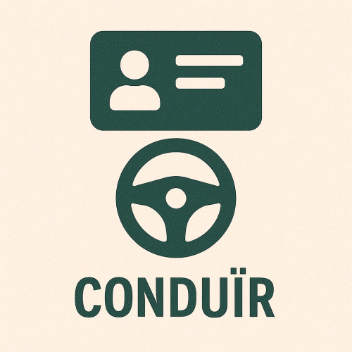 Duplicat o renovació del carnet de conduir