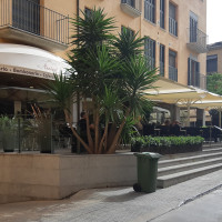 Pastisseria i cafeteria Masvidal