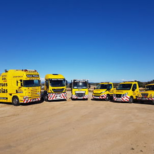 Serveis Grues Viñolas