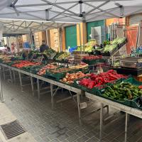 035- FRUITERIA SEBI I FILL