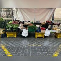 605 - FRUITES I VERDURES RAFEL COLLS