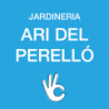 Ari del Perelló