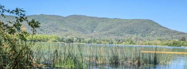 habitatge@ajbanyoles.org