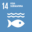 ODS 14. Vida submarina