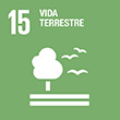 ODS 15. Vida terrestre
