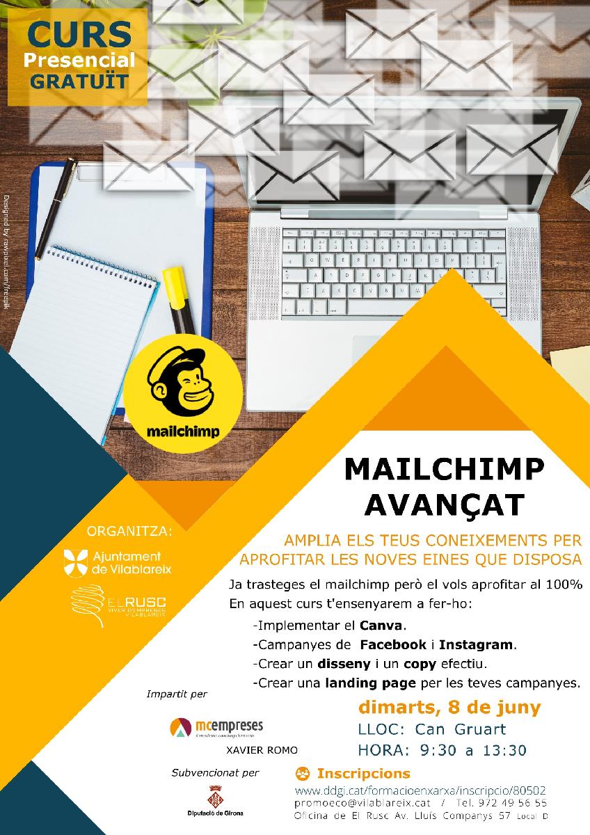 Curs mailchimp avançat