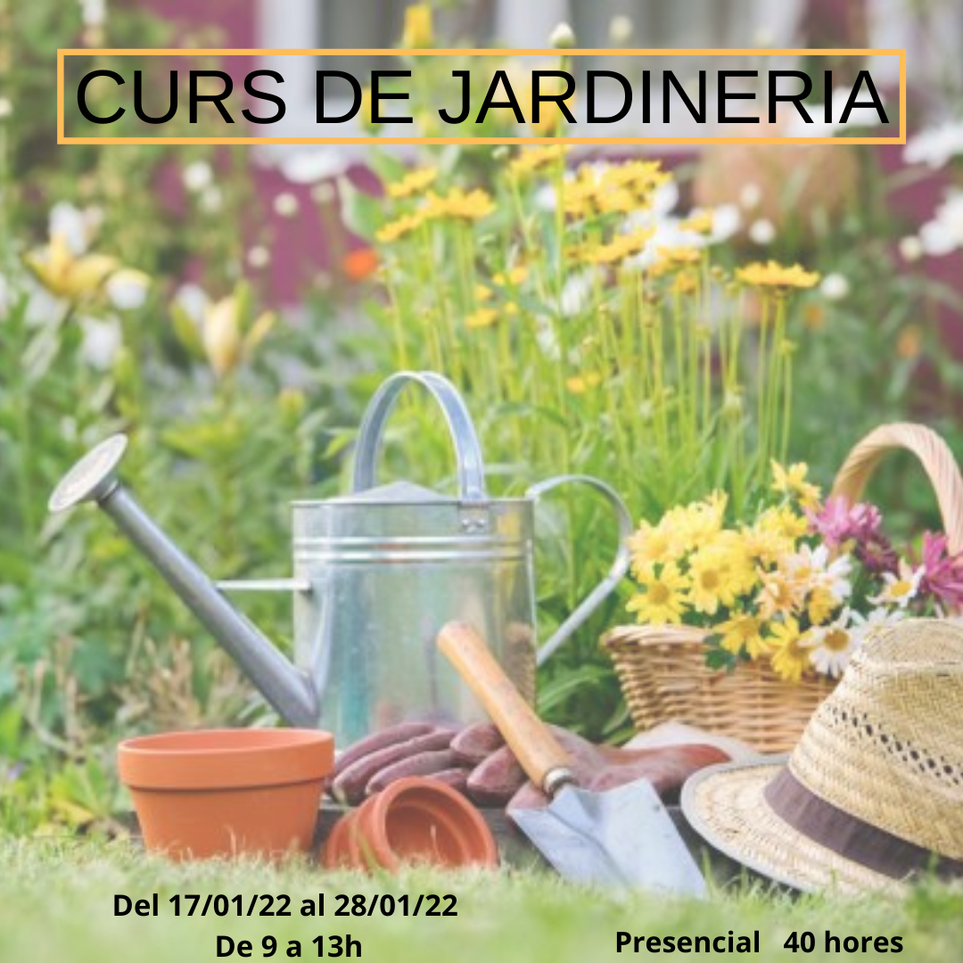 Jardineria (amb pràctiques)