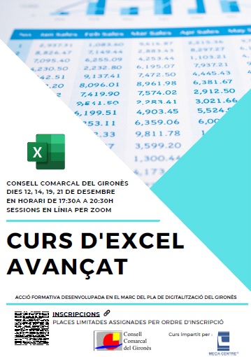 Curs Excel Avançat