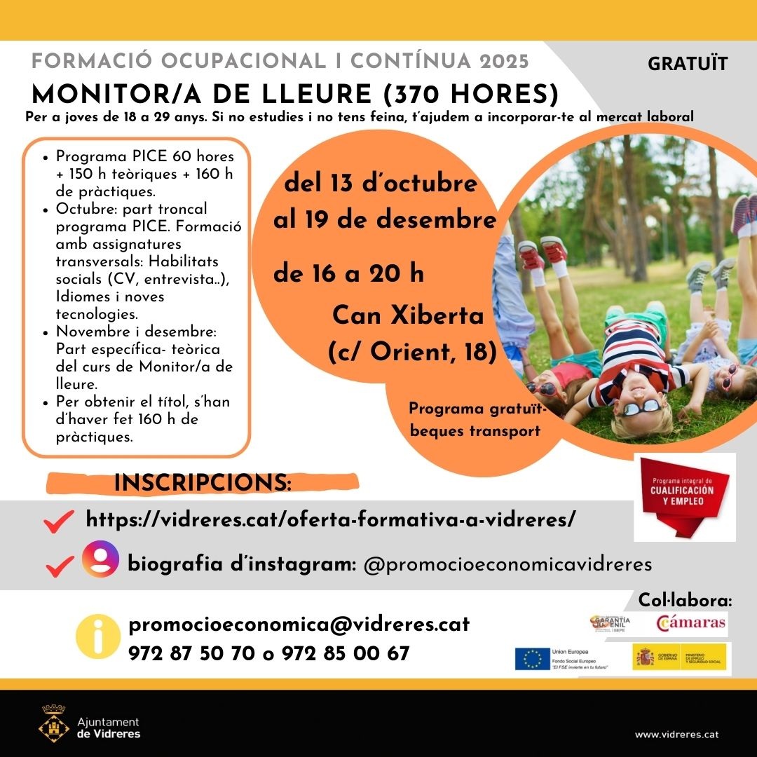 Monitor/a de lleure (370 hores)