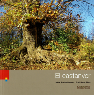 El castanyer