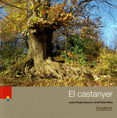El castanyer