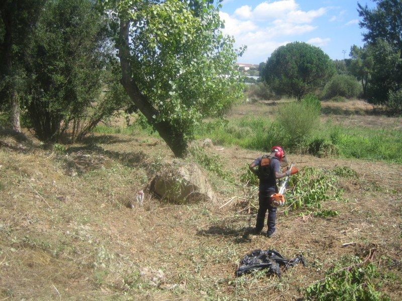 Foto : Treballs a les lleres del riu