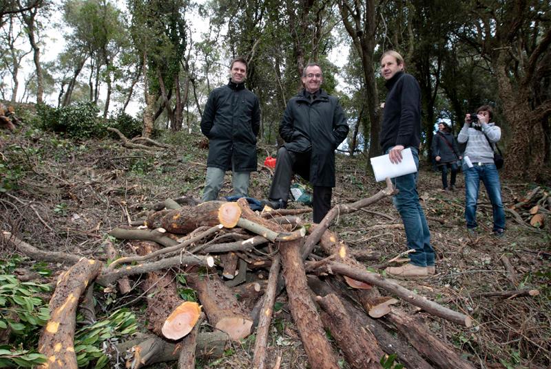 Foto : Creaci&oacute; d&rsquo;una franja de prevenci&oacute; d&rsquo;incendis al cor de les Gavarres
