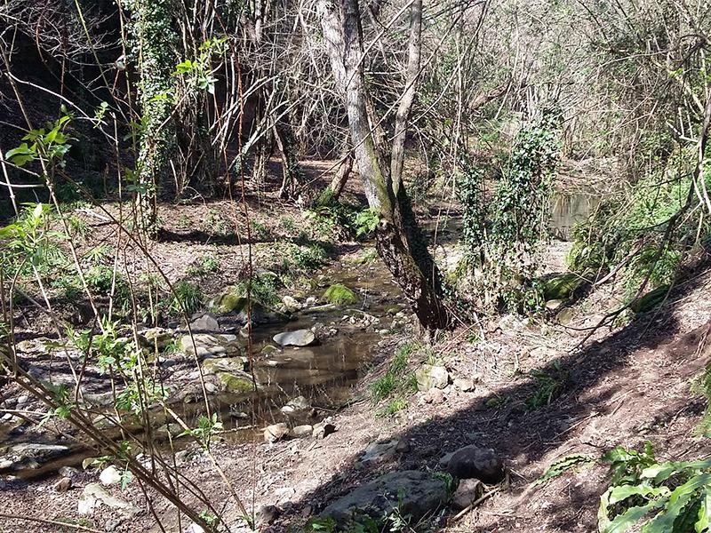 Foto : Restauraci&oacute; de la riera de Granollers (estat posterior als treballs)
